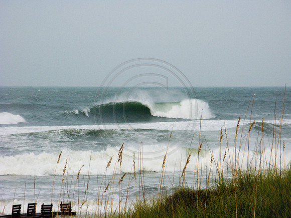GhigliaA_080901_florida1058.jpg