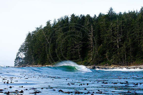 GhigliaA_081211_BC2281.jpg