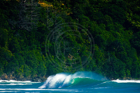 GhigliaA_080127_nz0606.jpg