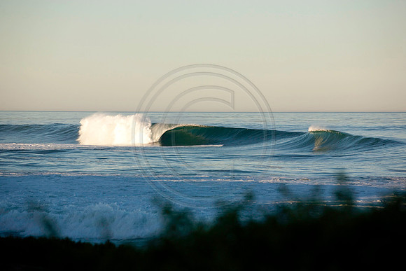 GhigliaA_101103_cali0143