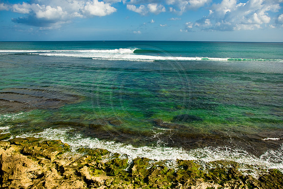GhigliaA_080526_bali4027.jpg
