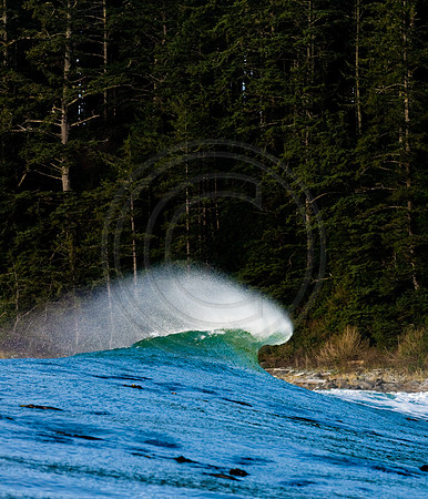 GhigliaA_081211_BC2287.jpg