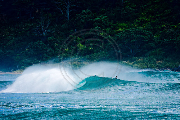 GhigliaA_080123_nz0027.jpg