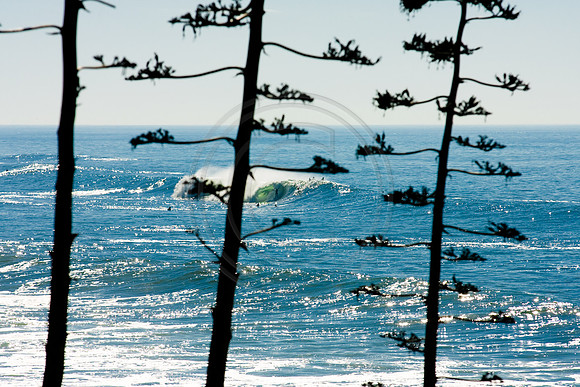 GhigliaA_0612_CALI0301.jpg