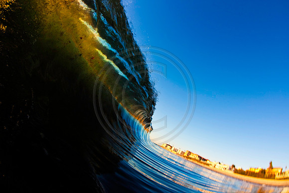 GhigliaA_101027_cali0034