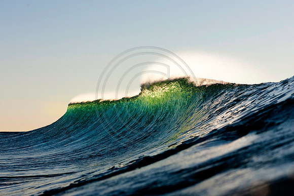 GhigliaA_101103_cali0236