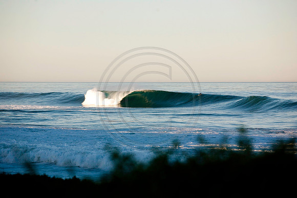 GhigliaA_101103_cali0165