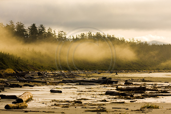 GhigliaA_081207_BC0337.jpg