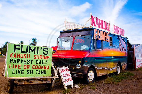 GhigliaA_071210_hawaii0566.jpg
