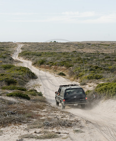 GhigliaA_061202_baja1743.jpg