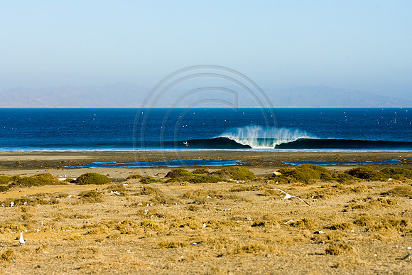 GhigliaA_070403_BAJA1487.jpg