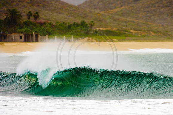 GhigliaA_061130_baja0387.jpg