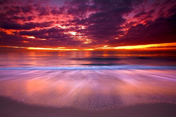 Windansea Palette