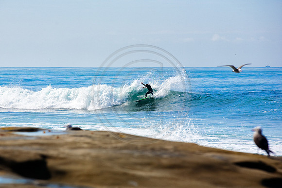 GhigliaA_100201_cali0412.jpg