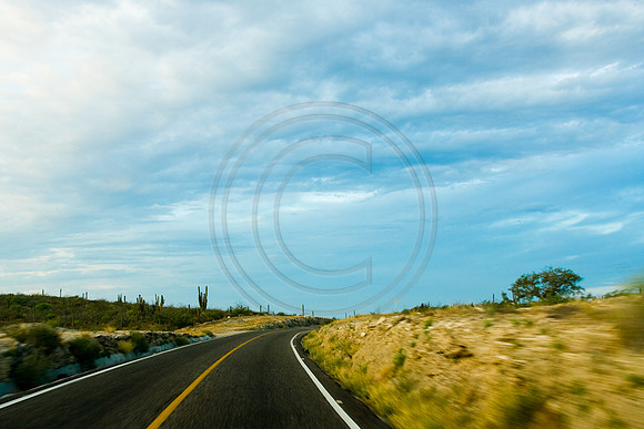 GhigliaA_061201_baja0923.jpg