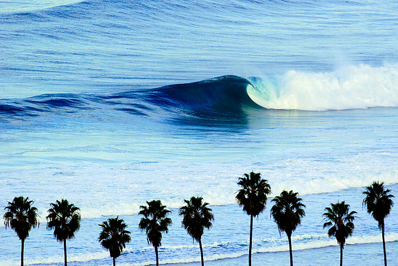 Nine Palms
