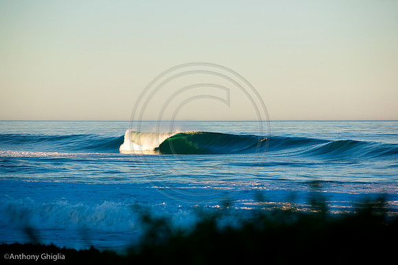 GhigliaA_101103_cali0141