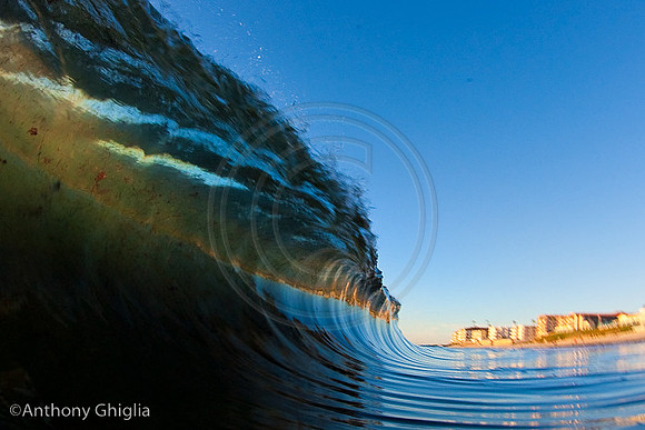GhigliaA_101027_cali0034