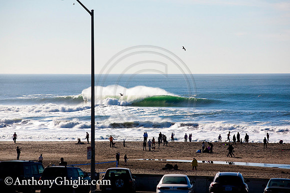 GhigliaA_110123_cali0185