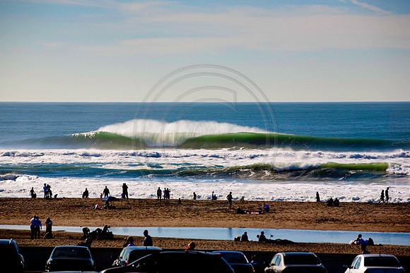 GhigliaA_110123_cali0162
