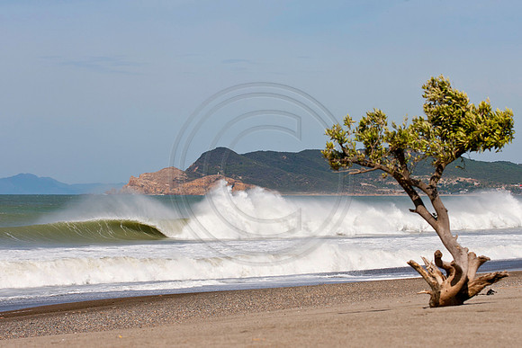 GhigliaA_110602_SC1084