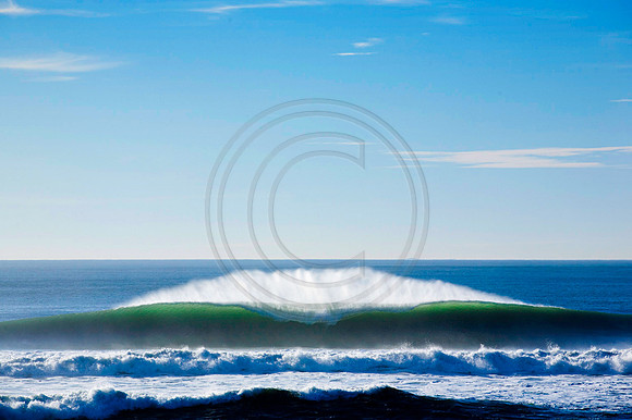 GhigliaA_110123_cali0403