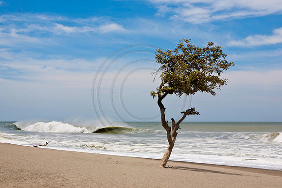 GhigliaA_110602_SC0939