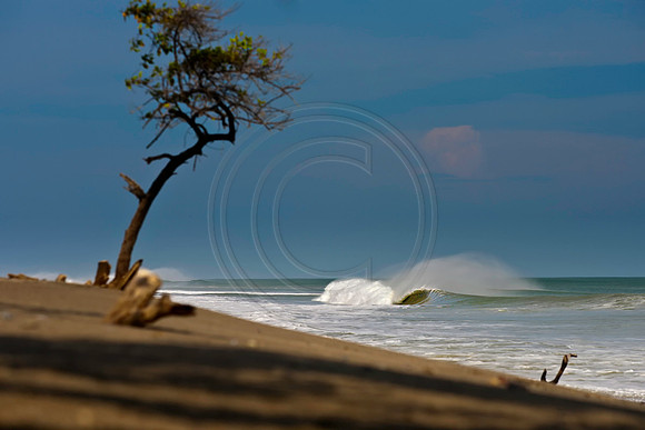 GhigliaA_110602_SC1648