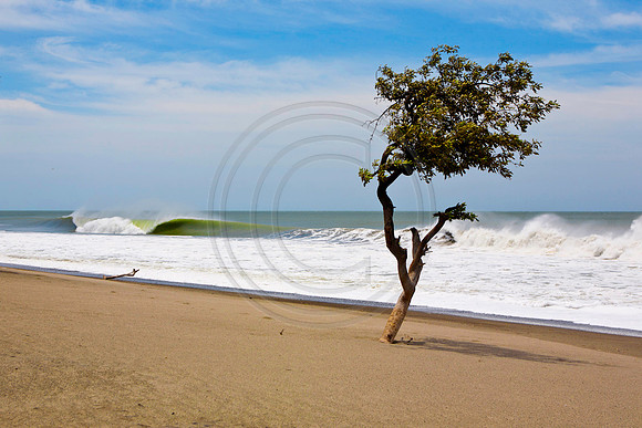 GhigliaA_110602_SC0933
