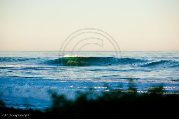 GhigliaA_101103_cali0167