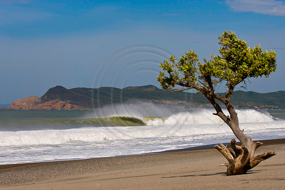 GhigliaA_110602_SC1142