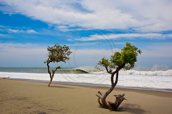 GhigliaA_110602_SC0951