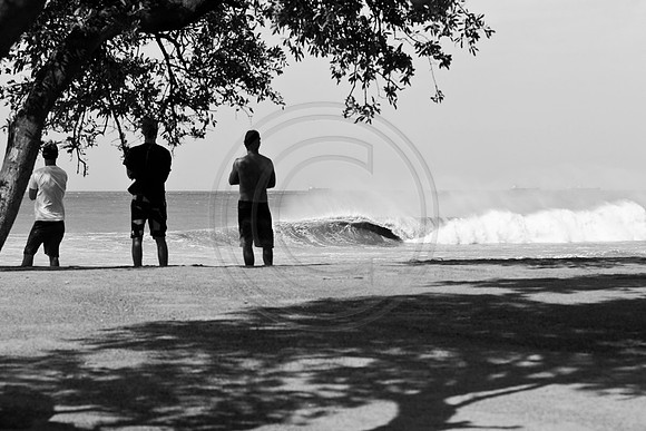 GhigliaA_110602_SC1081