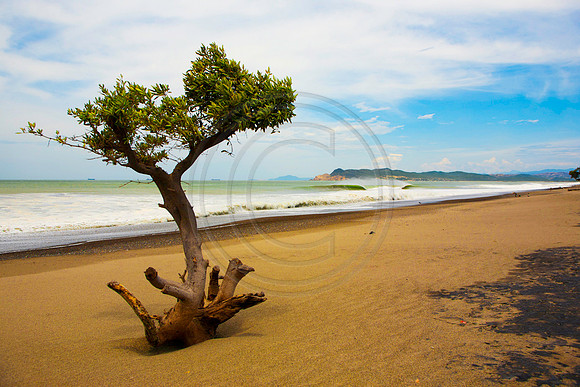 GhigliaA_110602_SC0925