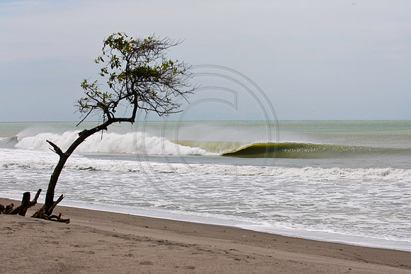 GhigliaA_110602_SC1293