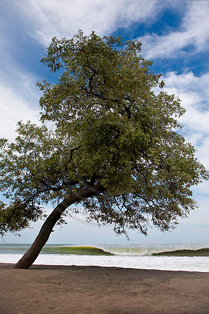 GhigliaA_110602_SC0972