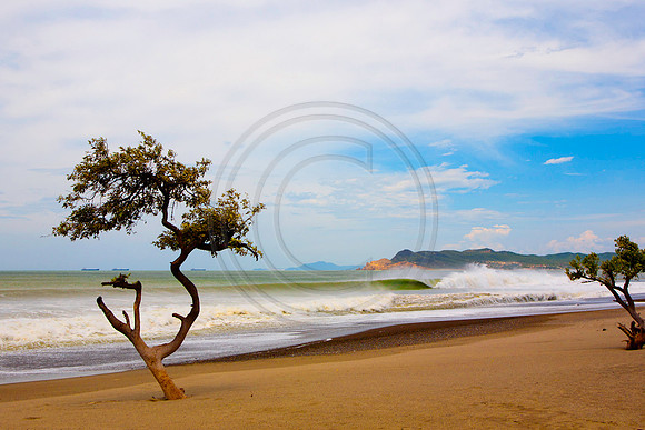GhigliaA_110602_SC0923
