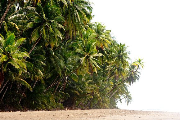 GhigliaA_100325_panama0541