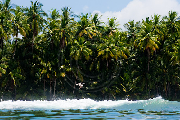 GhigliaA_100325_panama0497