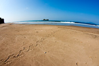 GhigliaA_100326_panama1126