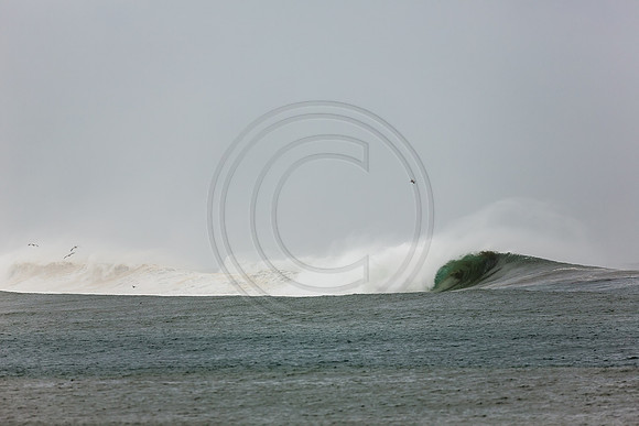 GhigliaA_140301_LJ-258