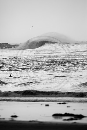 GhigliaA_140301_LJ-498