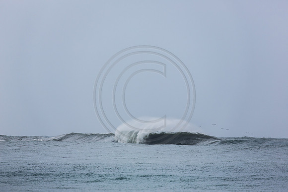 GhigliaA_140301_LJ-68