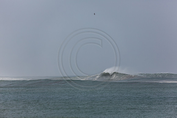 GhigliaA_140301_LJ-147
