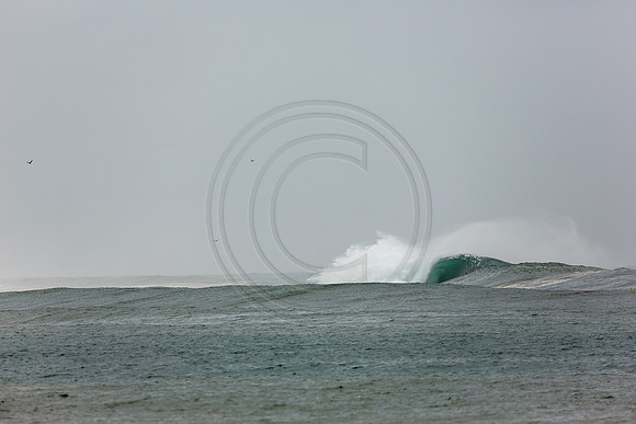 GhigliaA_140301_LJ-247