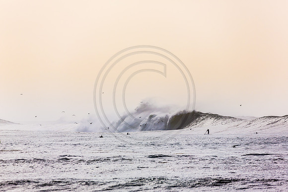 GhigliaA_140301_LJ-532