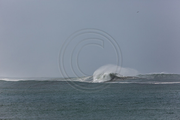 GhigliaA_140301_LJ-149