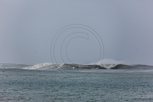 GhigliaA_140301_LJ-167