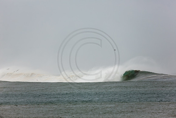 GhigliaA_140301_LJ-256