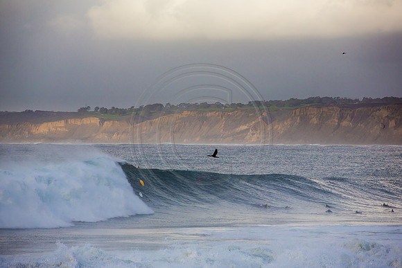 GhigliaA_140301_LJ-785